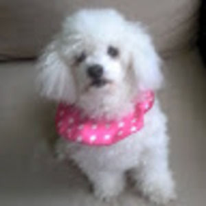 Meet your Posher, Melanie vanessa